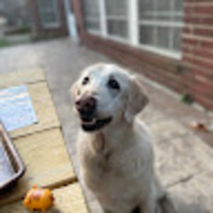 Meet your Posher, Everley